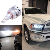 D1/D3  P-Series LED Conversion Kit